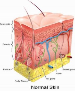 Skin care for health and wellness